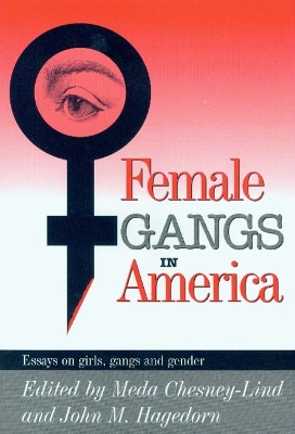 Book cover for Female Gangs in America