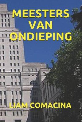 Book cover for Meesters Van Ondieping