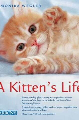 Cover of A Kitten's Life