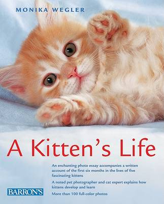 Book cover for A Kitten's Life