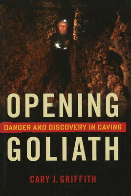 Book cover for Opening Goliath