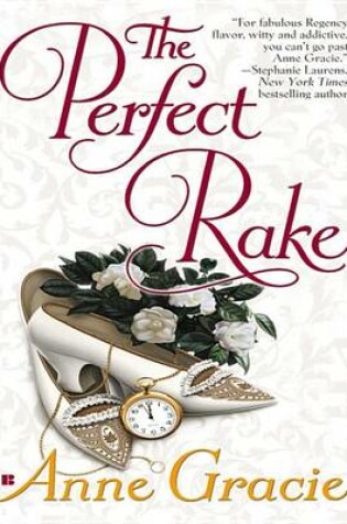 Cover of The Perfect Rake
