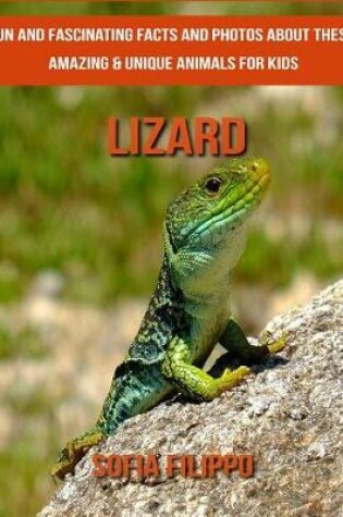 Cover of Lizard