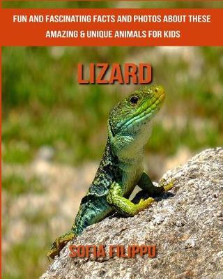 Book cover for Lizard