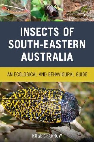 Cover of Insects of South-Eastern Australia