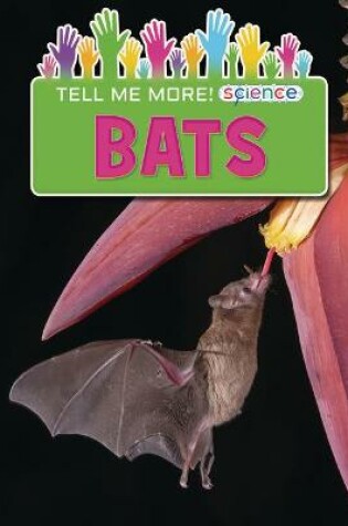 Cover of Bats