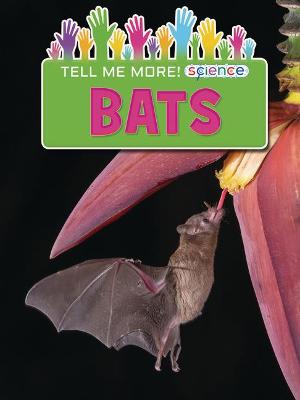 Book cover for Bats