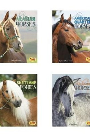 Cover of Horse Breeds
