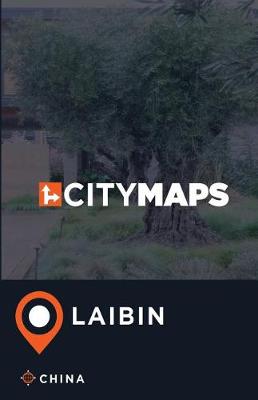 Book cover for City Maps Laibin China