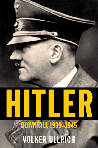 Cover of Hitler: Downfall