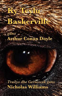 Book cover for Ky Teylu Baskerville