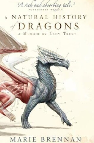 Cover of A Natural History of Dragons
