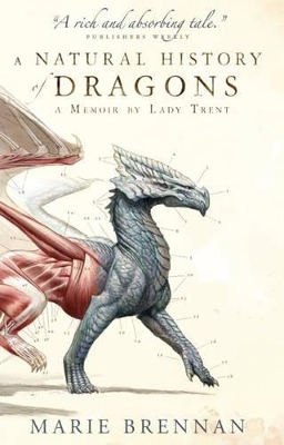 Book cover for A Natural History of Dragons