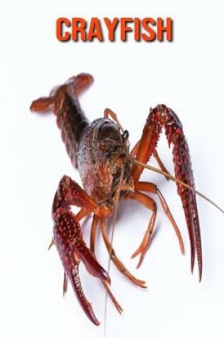 Cover of Crayfish