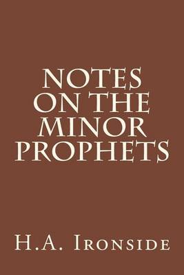 Book cover for Notes On The Minor Prophets