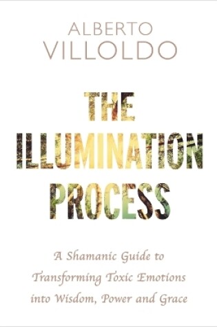 Cover of The Illumination Process