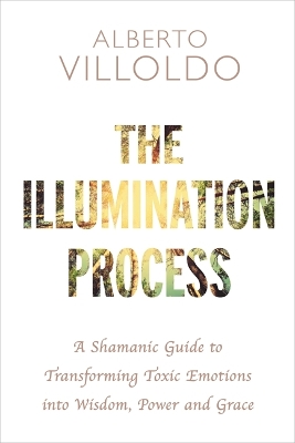 Book cover for The Illumination Process