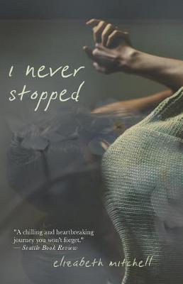 Book cover for I Never Stopped