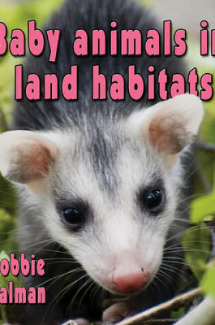 Cover of Baby Animals in Land Habitats