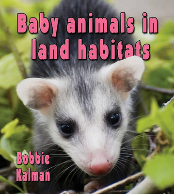 Book cover for Baby Animals in Land Habitats