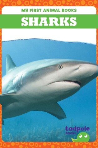 Cover of Sharks