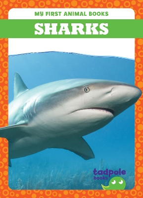 Cover of Sharks