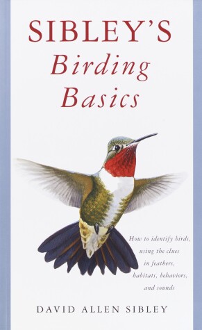 Book cover for Sibley's Birding Basics