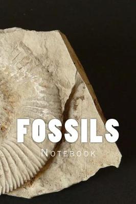 Book cover for Fossils