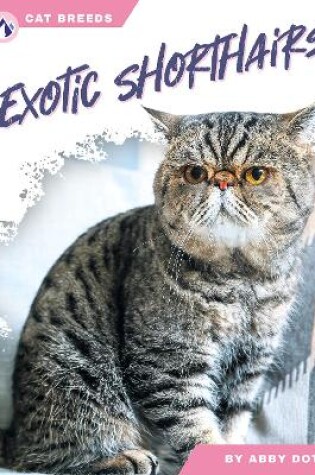 Cover of Exotic Shorthairs