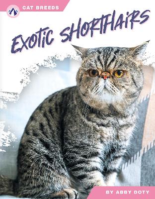 Book cover for Exotic Shorthairs