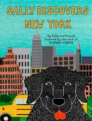 Book cover for Sally Discovers New York