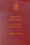 Book cover for History of Biblical Israel