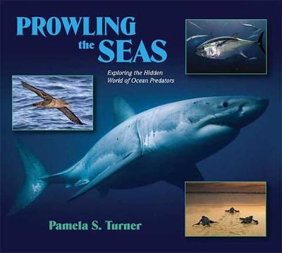 Book cover for Prowling the Seas