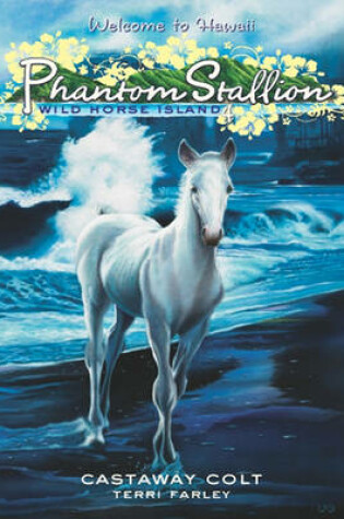 Cover of Phantom Stallion: Wild Horse Island #4: Castaway Colt