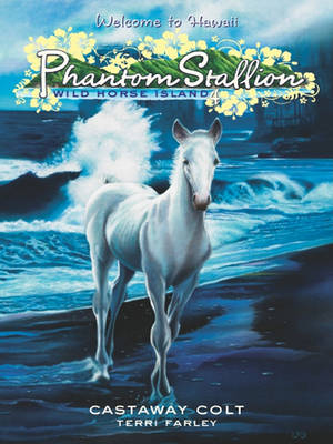 Book cover for Phantom Stallion: Wild Horse Island #4: Castaway Colt