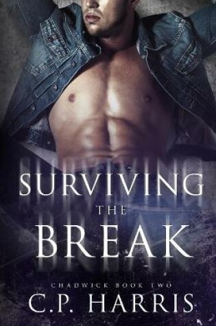 Cover of Surviving the Break