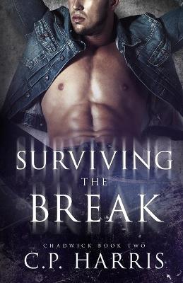 Book cover for Surviving the Break