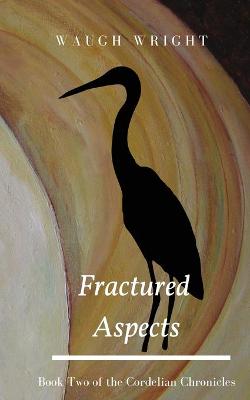 Book cover for Fractured Aspects