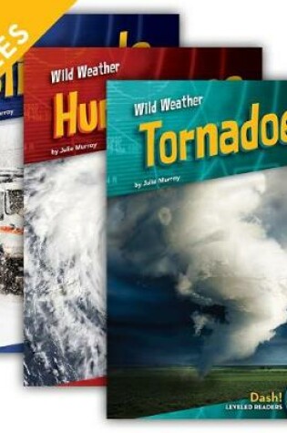 Cover of Wild Weather Set