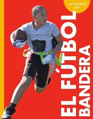 Cover of Curiosidad Por El F�tbol Bandera