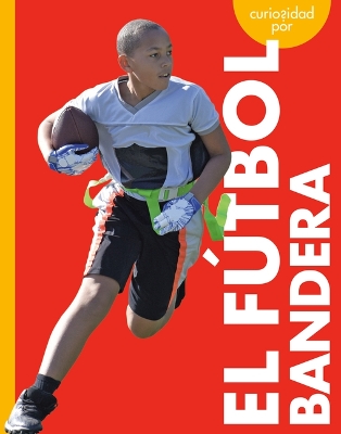 Book cover for Curiosidad Por El Fútbol Bandera