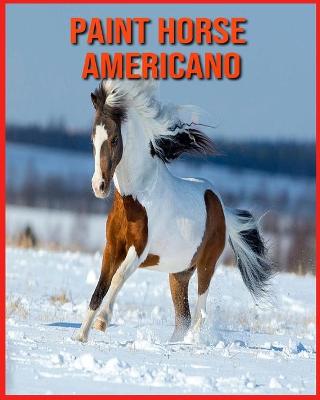 Book cover for Paint Horse Americano