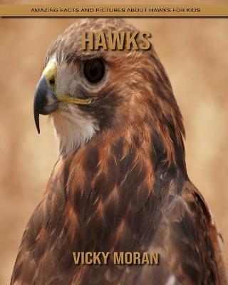 Book cover for Hawks