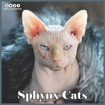 Book cover for Sphynx Cats 2021 Wall Calendar