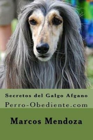 Cover of Secretos del Galgo Afgano