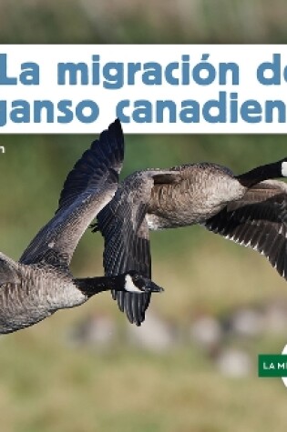 Cover of La Migraci�n del Ganso Canadiense (Canada Goose Migration)