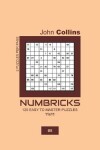 Book cover for Numbricks - 120 Easy To Master Puzzles 11x11 - 5