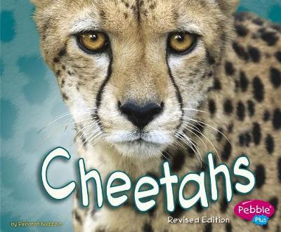 Book cover for African Animals Cheetahs