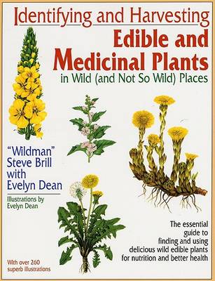 Book cover for Identifying and Harvesting Edible and Medicinal Plants