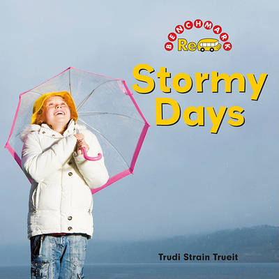 Book cover for Stormy Days